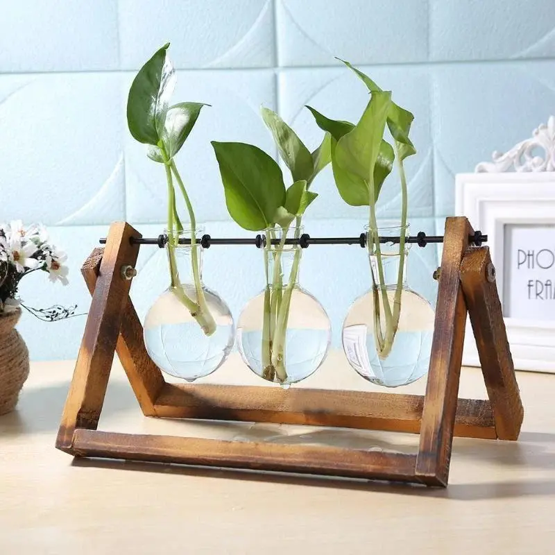 Lvdia Self-Watering Hydroponic Planter 1