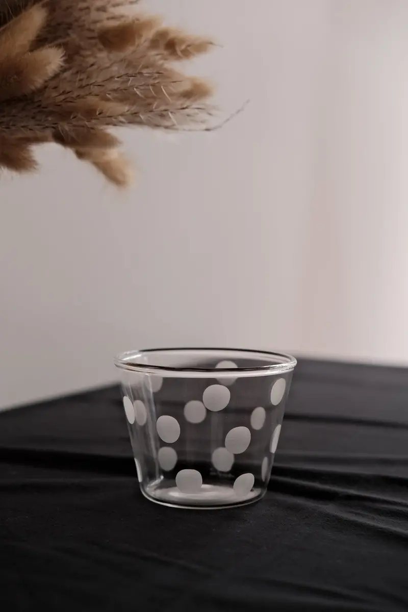 Miki Yamaguchi Toujours Dot Pattern Heat-Resistant Glass Tumbler 1