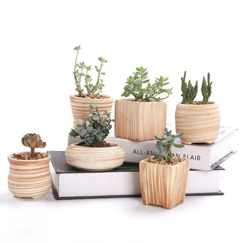 Mini Striped Ceramic Succulent Pots (Set Of 3) 1