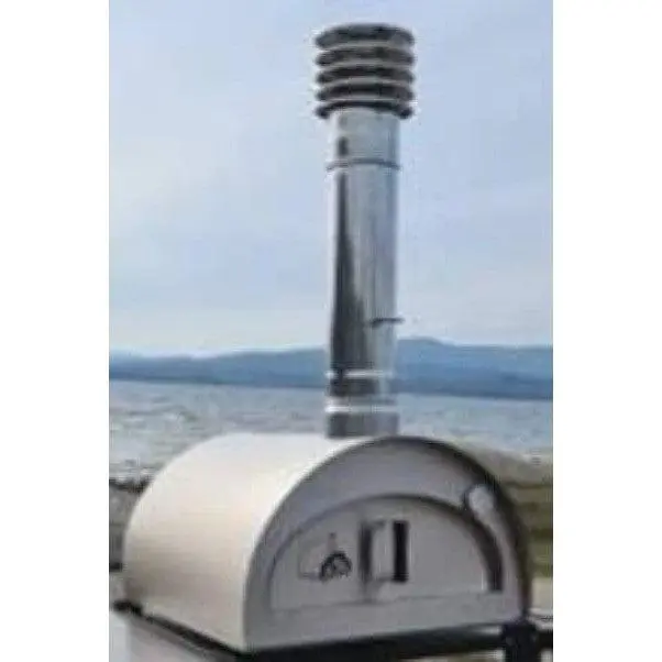 Proforno Pizzi 24" Stainless Steel Freestanding Wood-Fired Pizza Oven 1