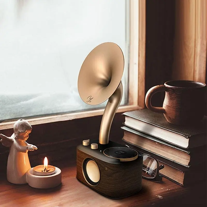 Sangean Chopin All-In-One Am/Fm Radio & Wireless Speaker 1